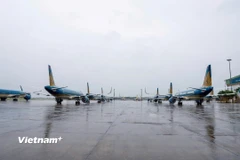 Ảnh minh họa. (Nguồn: TTXVN)