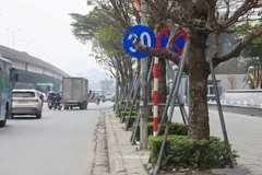 Cột biển báo giao thông được cắm giữa hàng cây và rất dễ bị che khuất tầm nhìn với người đi đường. (Ảnh: PV/Vietnam+) 