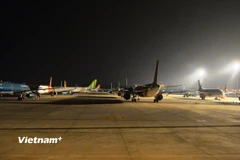 Máy bay của các Hãng hàng không Việt Nam tại Sân bay Quốc tế Nội Bài. (Ảnh: Việt Hùng/Vietnam+)