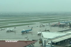 Máy bay của các hãng hàng không tại sân bay nước ta. (Ảnh: PV/Vietnam+)