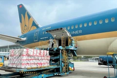 Vietnam Airlines sẽ tập trung xây dựng các trung tâm logistics tại các sân bay trong nước như Long Thành, Gia Bình nhằm phục vụ mở rộng lĩnh vực hàng hóa. (Ảnh: PV/Vietnam+)
