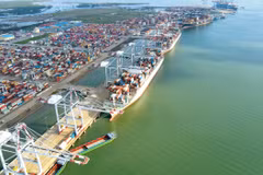 Bốc xếp hàng hóa container tại một cảng biển của Tổng công ty Hàng hải Việt Nam. (Ảnh: PV/Vietnam+)