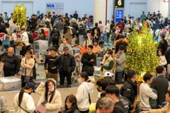 Hành khách làm thủ tục chuyến bay tại một cảng hàng không Việt Nam. (Ảnh: PV/Vietnam+)