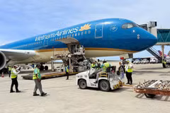 Vietnam Airlines đã thực hiện hai chuyến bay đặc biệt vận chuyển lực lượng và hàng hóa hỗ trợ tới Venezuela. (Ảnh: PV/Vietnam+)