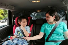 Giá một thiết bị ghế an toàn cho trẻ em đạt chuẩn dao động từ 1,5-2 triệu đồng. (Ảnh: PV/Vietnam+)