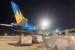 Vietnam Airlines đã thực hiện chuyến bay thứ hai vận chuyển hàng hóa hỗ trợ của Việt Nam tới Venezuela, nhằm giúp đỡ nước bạn vượt qua thảm họa động đất. (Ảnh: PV/Vietnam+)