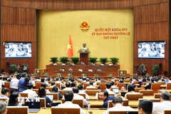 Quang cảnh phiên thảo luận tại hội trường về Dự án Luật Phát triển đô thị vào sáng 11/8. (Ảnh: Doãn Tấn/TTXVN)