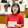 Phó Chủ tịch Quốc hội Nguyễn Khắc Định: Ninh Bình cần dồn lực cho bầu cử 2 Bà Nguyễn Thị Việt Nga, Phó Trưởng đoàn chuyên trách, Đoàn đại biểu Quốc hội thành phố Hải Phòng. (Ảnh: Doãn Tấn/TTXVN)