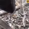 Video gắn trên thân khi lại khoảnh khắc người lính Nga công hào, bắn hạ nhiều lính Ukraine