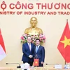 Bộ trưởng Bộ Công Thương Nguyễn Hồng Diên và Bộ trưởng Bộ Công Thương phụ trách năng lượng và khoa học - công nghệ Singapore Tan See Leng.