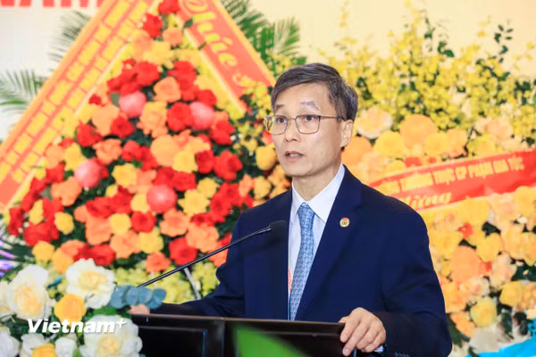 Ông Nguyễn Khánh Ngọc tái cử Chủ tịch Hội Luật gia Việt Nam khóa XV