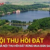 Hà Nội xử vụ sai phạm đất rừng phòng hộ, đề nghị thu hồi diện tích vi phạm 