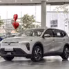 Xe ôtô xanh ngày càng được nhiều người tiêu dùng quan tâm. (Ảnh minh hoạ: PV/Vietnam+)