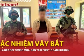 Sơn La bắt đối tượng mua, bán trái phép 10 bánh heroin 