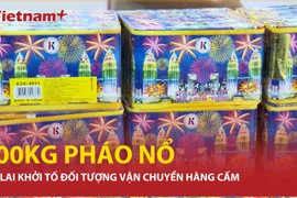 Bắt giữ đối tượng vận chuyển 200kg pháo nổ ngụy trang thành thùng “hạt điều”