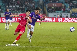 (Ảnh: Việt Anh/Vietnam+)