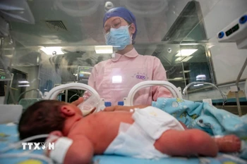 Chăm sóc trẻ sơ sinh tại bệnh viện ở tỉnh Chiết Giang, Trung Quốc. (Ảnh: AFP/TTXVN)