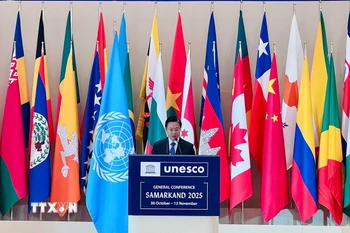 Thứ trưởng Bộ Ngoại Giao Ngô Lê Văn phát biểu chính sách tại Phiên toàn thể Kỳ họp Đại hội đồng UNESCO lần thứ 43. (Ảnh: TTXVN phát)