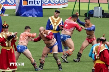 Môn đấu vật truyền thống dành riêng cho nam giới mà không xét đến các hạng cân. (Ảnh: Thanh Tùng/TTXVN)