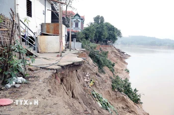 Ảnh minh họa. (Ảnh: Tạ Toàn/TTXVN)