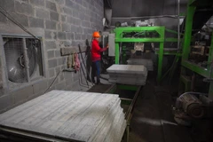 Cơ hội và thách thức khi áp dụng công nghệ carbon thấp tại Việt Nam. (Ảnh: Nguyễn Văn An/Vietnam+)