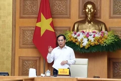 Phó Thủ tướng Bùi Thanh Sơn. (Nguồn: VGP)