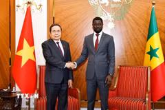 Chủ tịch Quốc hội Trần Thanh Mẫn hội kiến Tổng thống Senegal Bassirou Diomaye Faye. (Ảnh: Doãn Tấn/TTXVN)