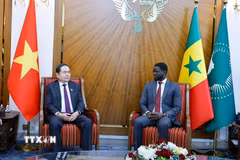 Chủ tịch Quốc hội Trần Thanh Mẫn hội kiến Tổng thống Senegal Bassirou Diomaye Faye. (Ảnh: Doãn Tấn/TTXVN)