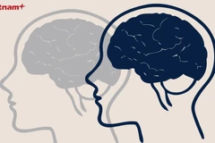 Ảnh minh họa. (Nguồn: Vietnam+)