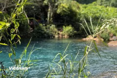 Suối Nước Moọc mang sắc xanh ngọc bích quanh năm. (Nguồn: Vietnam+)