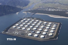 Bể chứa dầu tại kho dự trữ ở Kagoshima, Nhật Bản. (Nguồn: Kyodo/TTXVN)