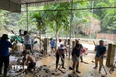 Ngoài lực lượng tại chỗ, các xã, bản, trường học ở Nghệ An còn nhận được sự hỗ trợ, giúp đỡ từ các đơn vị khác trong tỉnh để vượt qua khó khăn do lũ. (Ảnh: TTXVN phát)