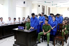 Các bị cáo tại phiên tòa. (Ảnh: Thế Duyệt/TTXVN)