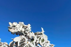 Băng tuyết phủ trắng đỉnh núi tạo nên phong cảnh kỳ thú. (Nguồn: TTXVN phát)