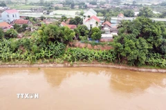 Tỉnh Phú Thọ có mưa to, kéo dài, khiến mực nước trên các sông liên tục dâng cao. (Ảnh: Tạ Toàn/TTXVN)