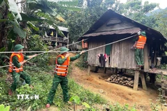 Cán bộ, chiến sỹ Bộ đội Biên phòng tỉnh Quảng Trị hỗ trợ nhân dân chằng chống, gia cố nhà cửa, tài sản đảm bảo an toàn trước cơn bão số 5. (Nguồn: TTXVN phát)