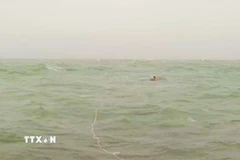 Ảnh minh họa. (Nguồn: TTXVN phát)