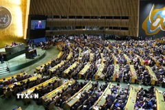 Toàn cảnh Khóa họp 80 Đại hội đồng Liên hợp Quốc tại New York, Mỹ. (Nguồn: THX/TTXVN)