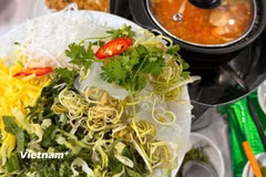 Lẩu sứa trở thành một lựa chọn được nhiều du khách tìm kiếm khi muốn khám phá trọn vẹn hương vị biển của Quy Nhơn. (Nguồn: Vietnam+)