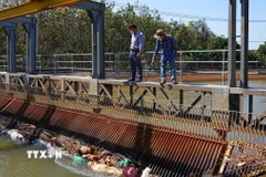 Lưới chắn rác tại kênh Phước Hòa-Dầu Tiếng bị tắc nghẽn do rác thải và xác gia súc, gia cầm vứt trái phép. (Ảnh: Minh Phú/TTVXN)