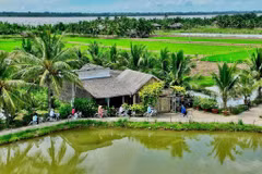Điểm du lịch cộng đồng Cồn Chim, Châu Thành, Trà Vinh. (Ảnh: TTXVN phát)