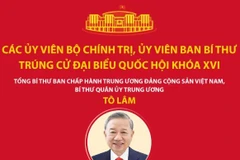 Các Ủy viên Bộ Chính trị, Ủy viên Ban Bí thư trúng cử đại biểu Quốc hội khóa XVI