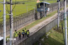 Tuyến đường mòn hòa bình DMZ, Paju, Hàn Quốc. (Ảnh: Yonhap/TTXVN)