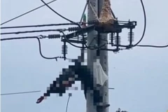 Hình ảnh người đàn ông treo lơ lửng trên trụ điện. (Nguồn: Ảnh cắt từ clip trên TikTok)