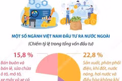 Đầu tư của Việt Nam ra nước ngoài gấp 3,6 lần so với cùng kỳ năm 2024