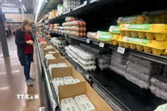 Trứng được bày bán tại siêu thị ở El Monte, Los Angeles, California, Mỹ. (Nguồn: THX/TTXVN)