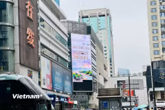 Banner tuyên truyền về năm APEC 2026 tại khu vực Hoa Cường Bắc (Thâm Quyến, Trung Quốc). (Ảnh: Việt Đức/Vietnam+)