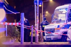 Cảnh sát đã bắt giữ một số nghi phạm ngay tại hiện trường liên quan đến vụ việc. (Nguồn: DPA)