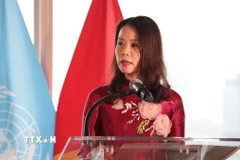 Thứ trưởng Bộ Ngoại giao Nguyễn Minh Hằng. (Ảnh: Thanh Tuấn/TTXVN)