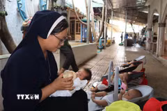 Gần 10 năm qua, Mái ấm An Vũ không chỉ là nơi cưu mang trẻ em cơ nhỡ mà còn là nơi gieo mầm hy vọng cho những phận đời kém may mắn. (Ảnh: Đậu Tất Thành/TTXVN)